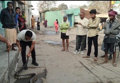 सीतामढ़ी में घर के पाइप लाइन में बैठा विशाल काय अजगर, सुबह उठते ही नजर पड़ी तो देख कर होश उड़ गए जितेंद्र सारथी ने किया सफल रेस्क्यु।